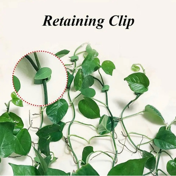 10 pc Leaf shaped sticky clips to hold your climbing plants in style - Picture 14 of 15